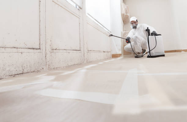 24/7 Emergency Attic Mold Removal experts in Little Silver, NJ